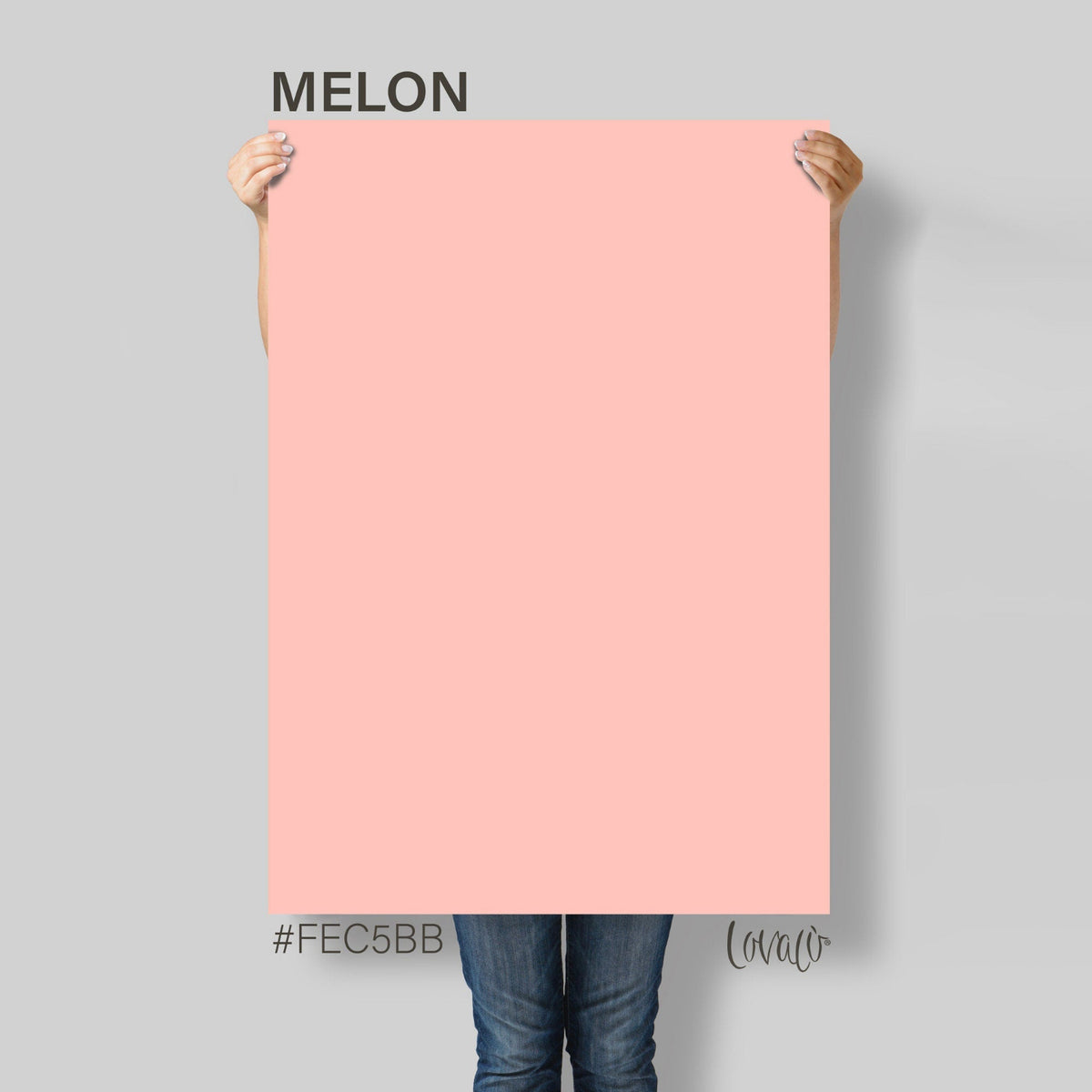 Pink Melon solid color Photography Backdrop for Product, Instagram, Flat lay, Social, New born &amp; Food Photography - Lov4002