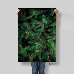 Christmas Fir tree brunch Backdrop, green photo background, pine tree photo background, Product, Instagram, Flat lay Photography - Lov5031